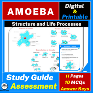 Ameoba structure, asexual reproduction, mode of nutrition