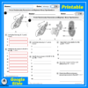 Protists Test; Amoeba, Paramecium, and Euglena assessment