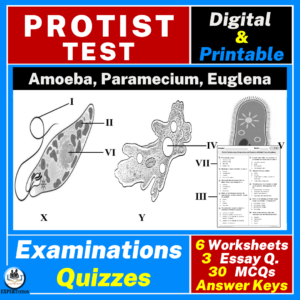 Protists Test, Amoeba, Paramecium, and Euglena assessment