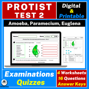 Protists, amoeba, paramecium, euglena test