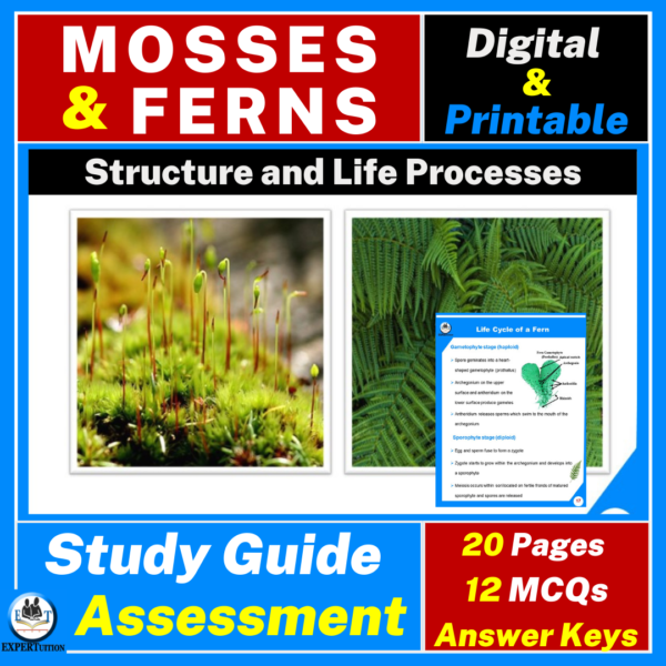 mosses and ferns structure, reproduction, assessment