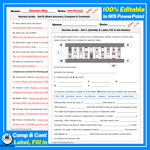 nucleic acids, dna and rna study, tests, digital dna and rna worksheets