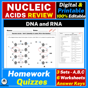 nucleic acids review, dna and rna quizzes, dna and rna study guide, digital dna and rna worksheets