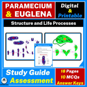 paramecium and euglena structure, reproduction and other life processes