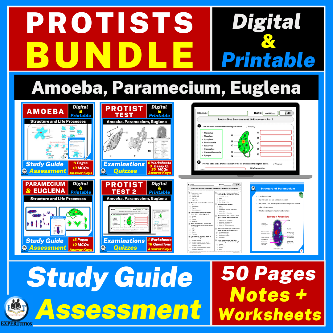 protists, amoeba, paramecium, euglena, worksheets